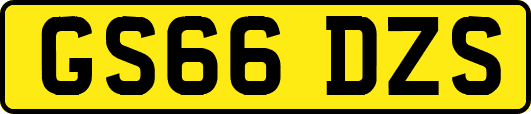 GS66DZS