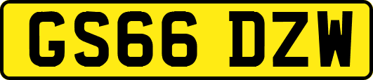 GS66DZW