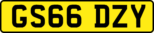 GS66DZY