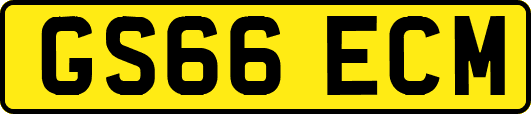 GS66ECM