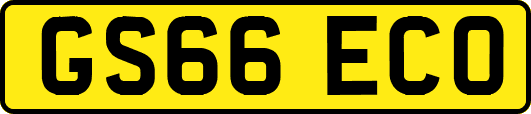 GS66ECO