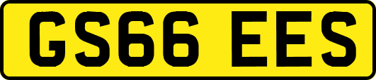 GS66EES