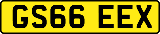 GS66EEX