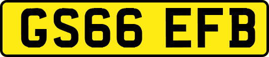 GS66EFB