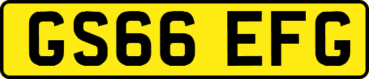 GS66EFG