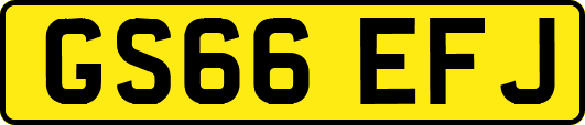 GS66EFJ