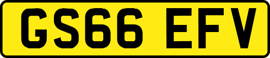 GS66EFV