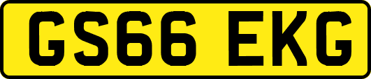 GS66EKG