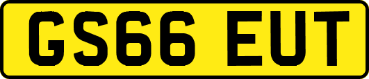 GS66EUT