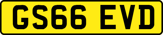 GS66EVD