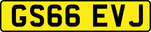 GS66EVJ