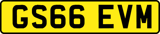 GS66EVM