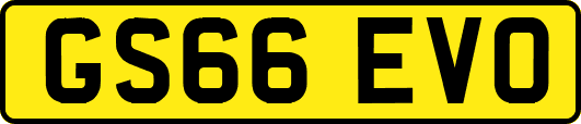 GS66EVO