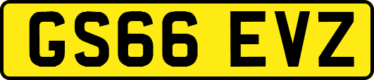 GS66EVZ