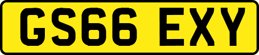 GS66EXY
