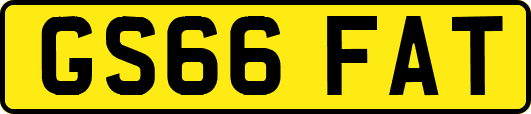 GS66FAT