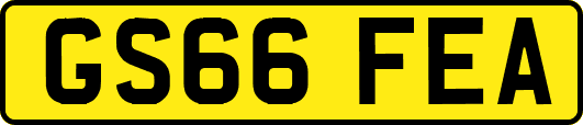 GS66FEA