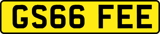 GS66FEE