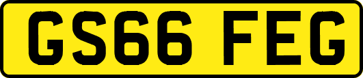 GS66FEG
