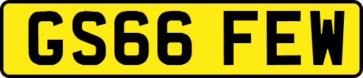 GS66FEW