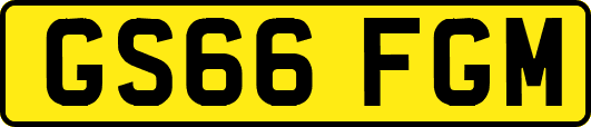 GS66FGM