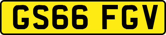 GS66FGV