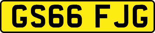 GS66FJG