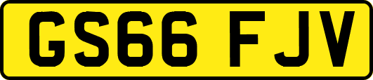 GS66FJV