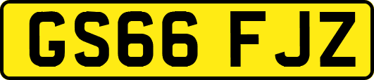 GS66FJZ