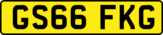 GS66FKG