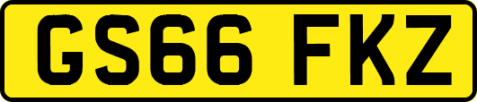 GS66FKZ