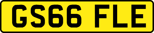 GS66FLE