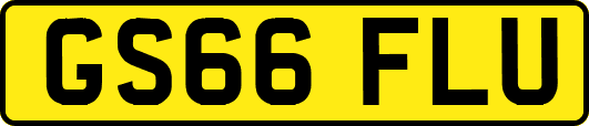 GS66FLU
