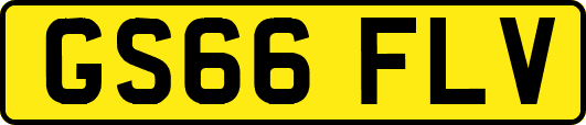 GS66FLV