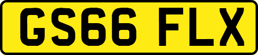 GS66FLX