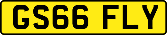 GS66FLY