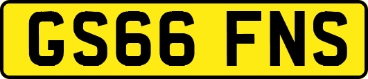 GS66FNS