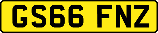 GS66FNZ