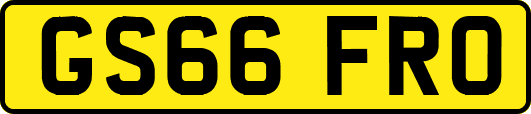 GS66FRO