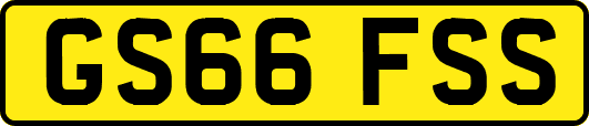 GS66FSS