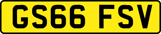 GS66FSV
