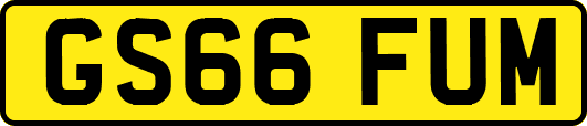 GS66FUM