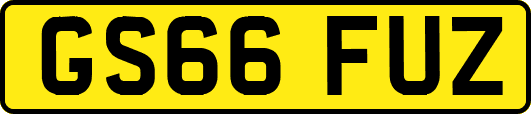 GS66FUZ