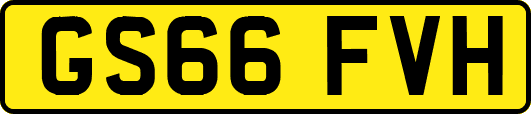 GS66FVH