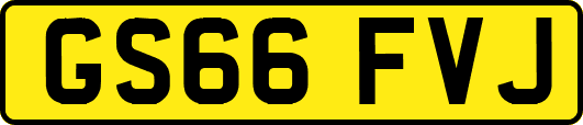 GS66FVJ