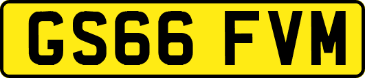 GS66FVM