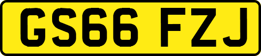 GS66FZJ