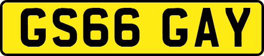 GS66GAY