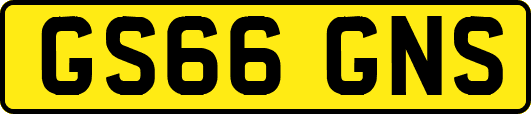 GS66GNS
