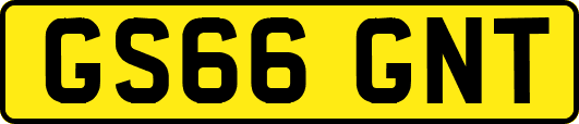 GS66GNT
